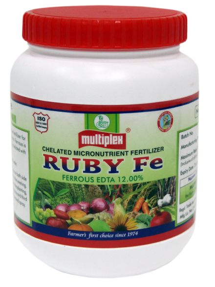 uploads/images/prod/Ruby Fe.png